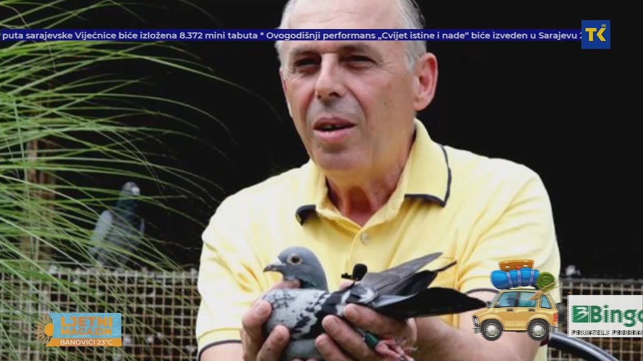 LJETNI MAGAZIN | Zdravko Nikolić