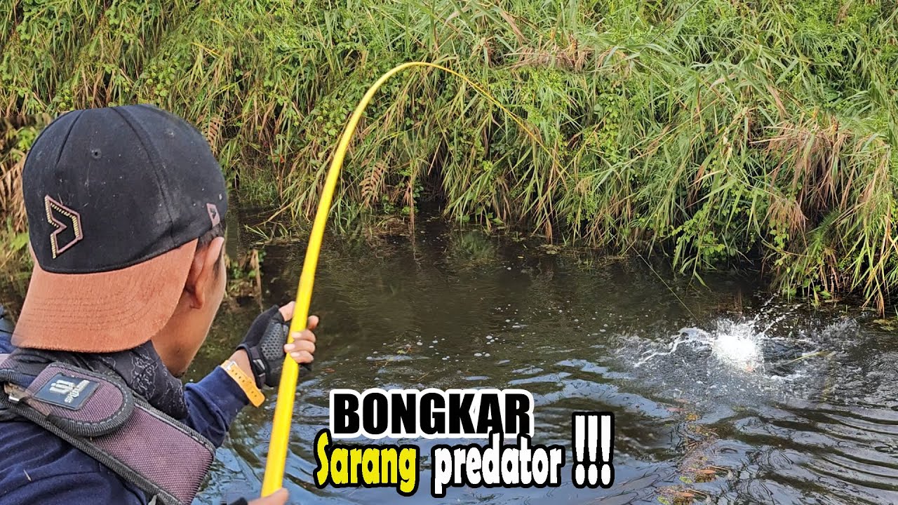 SADIS!!! Inilah spot mancing yang bikin lupa pulang #SG-351