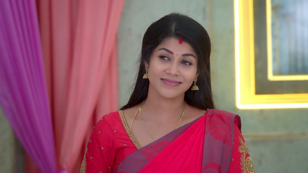 Karthigai Deepam - Full Ep - 658 - Karthikeyan, Deepa, Abirami - Zee Tamil