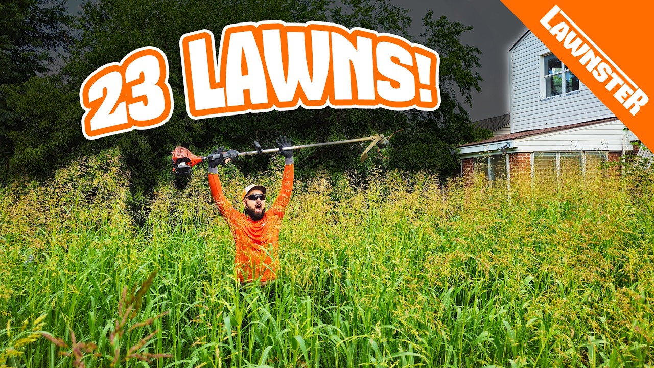 23 INSANE Lawn Transformations with BEFORE and AFTERS (2024 Lawnster Recap)