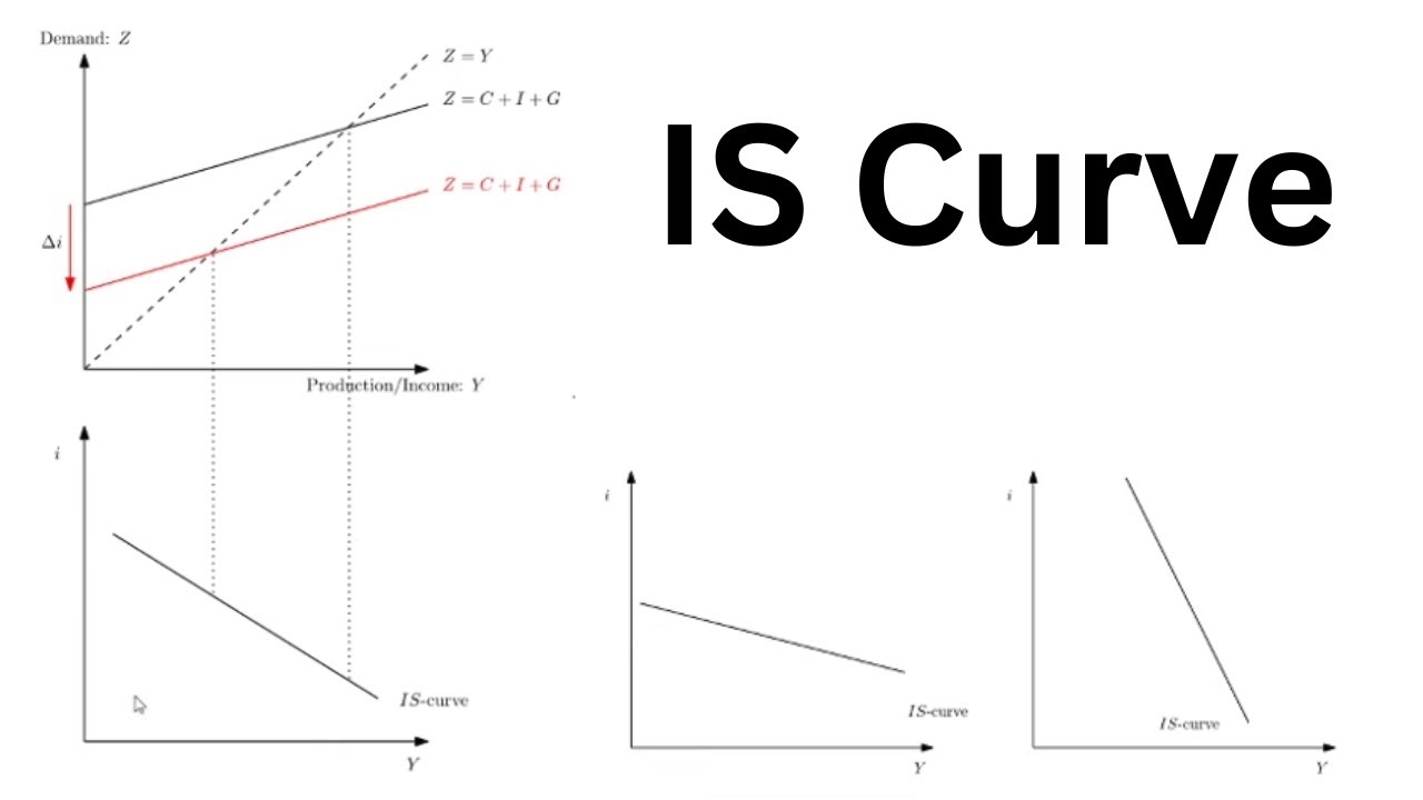 Macroeconomics: The IS Curve