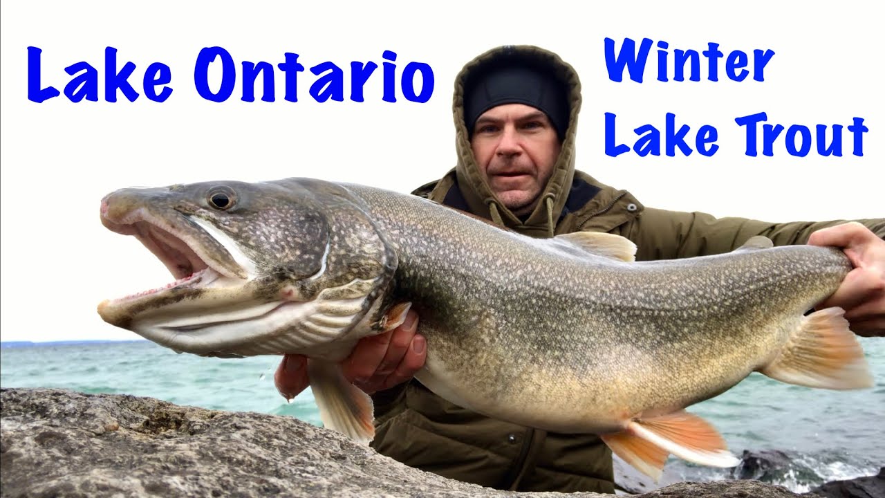 Lake Ontario lake trout winter fishing.