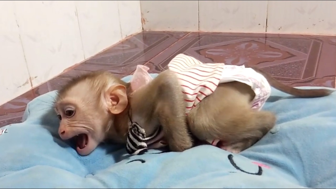 Oh  god!! Smart baby LIORA cried sweetly and called her mom to comfort her before going to bed
