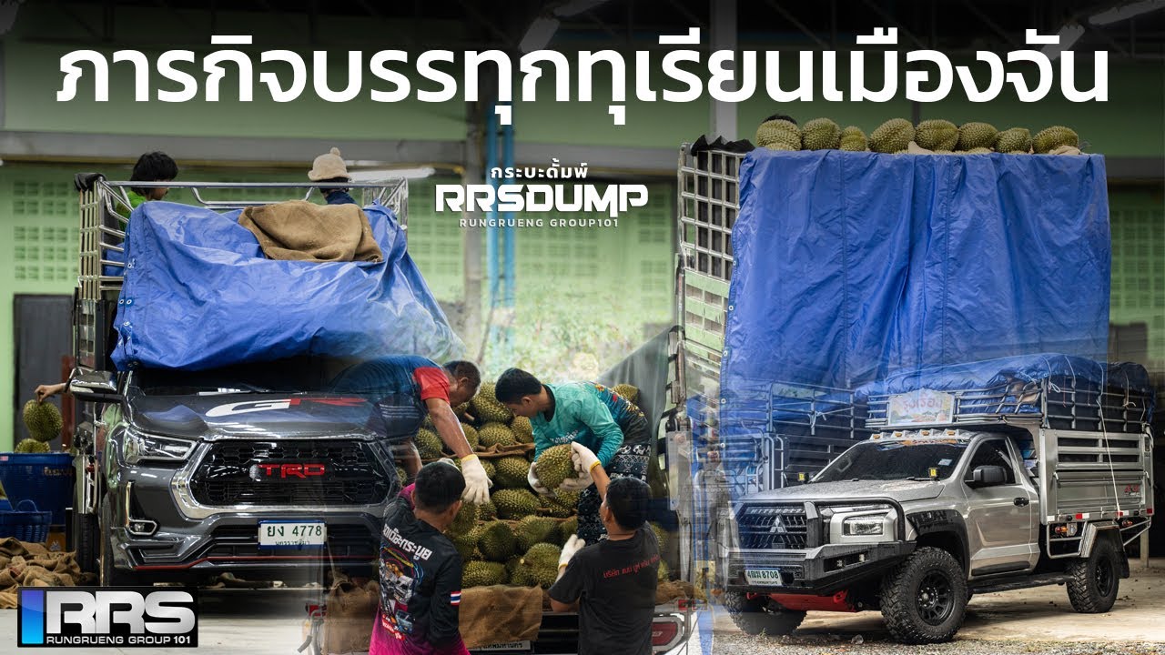 กระบะพ่วงดั้มพ์RRS กับภารกิจบรรทุกทุเรียนเมืองจันทบุรี