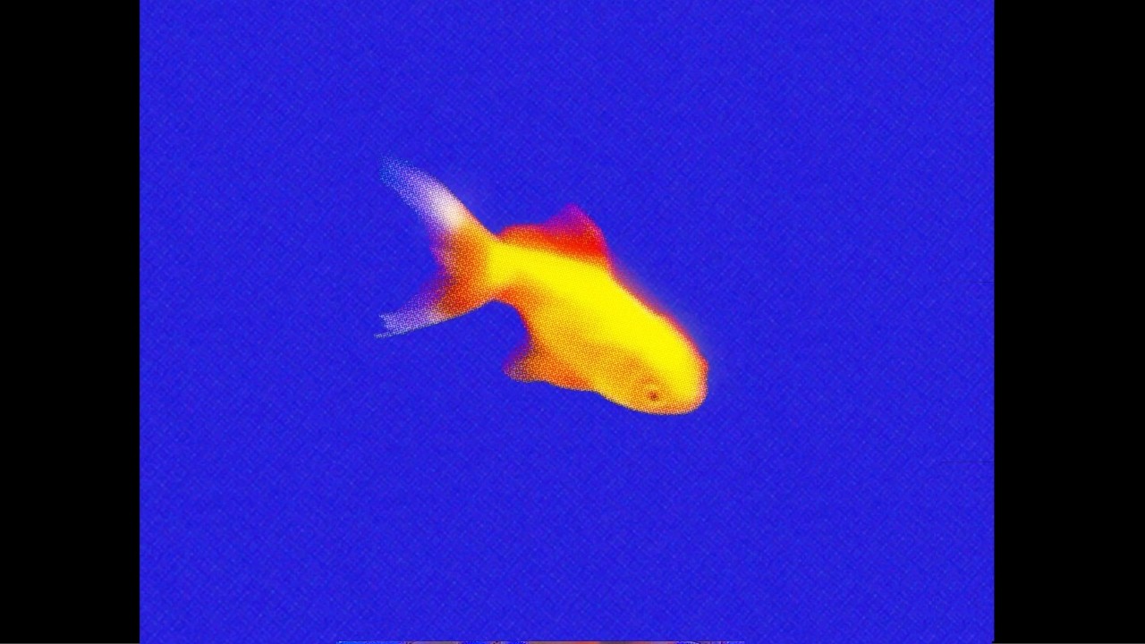Vince Staples X Kendrick Lamar Type Beat |  Koi