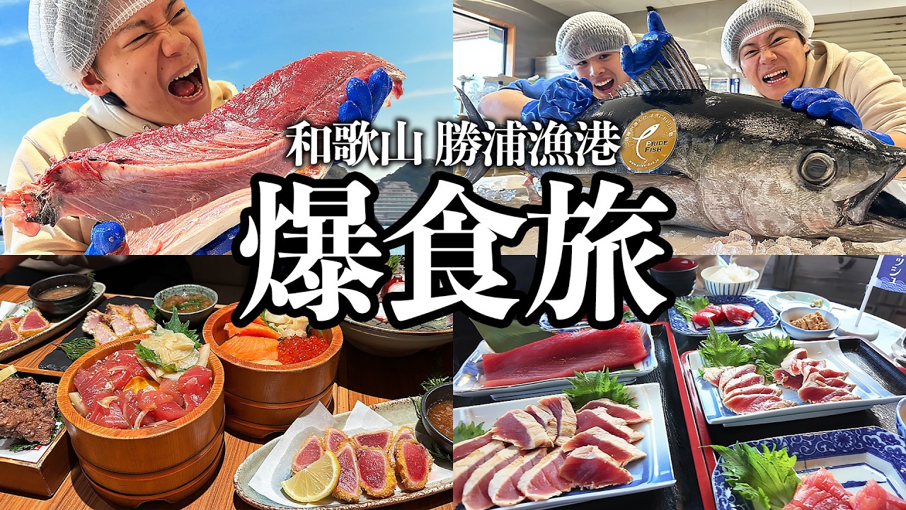 【旅行爆食】現地のとれたて海鮮を爆食し観光しまくって昇天した和歌山Vlog
