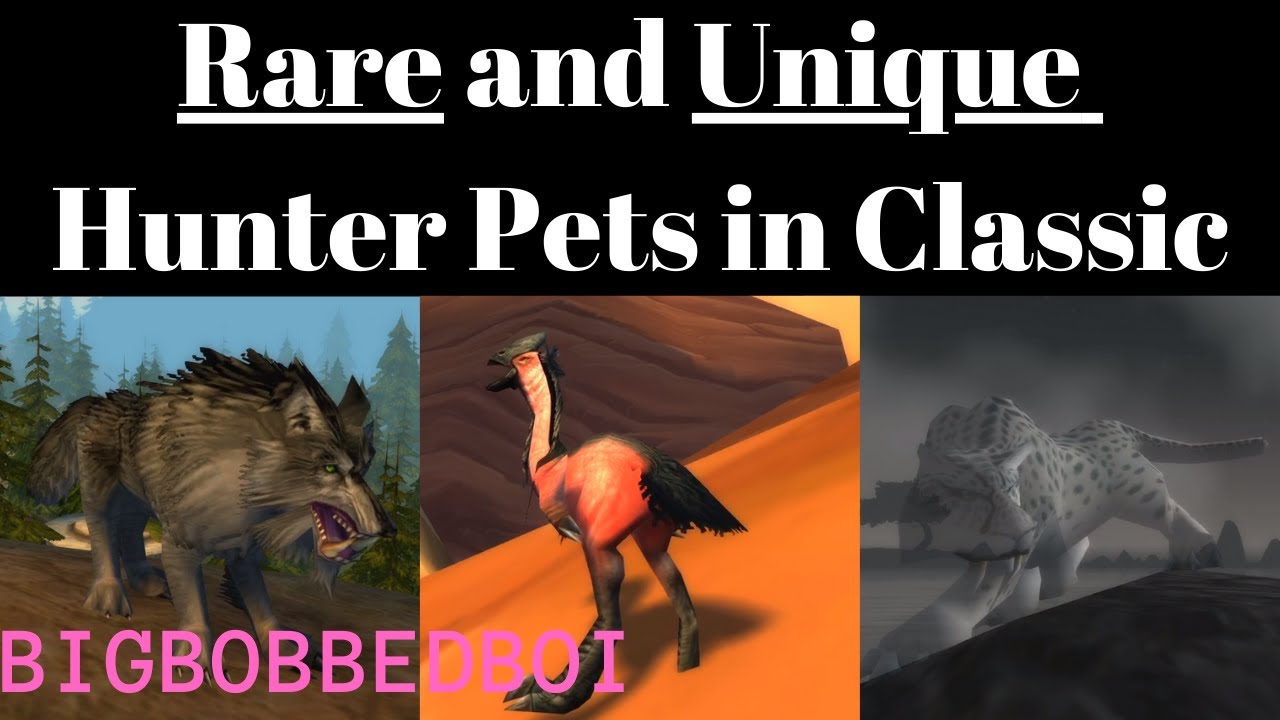 Редкие и уникальные питомцы охотника в WoW Classic