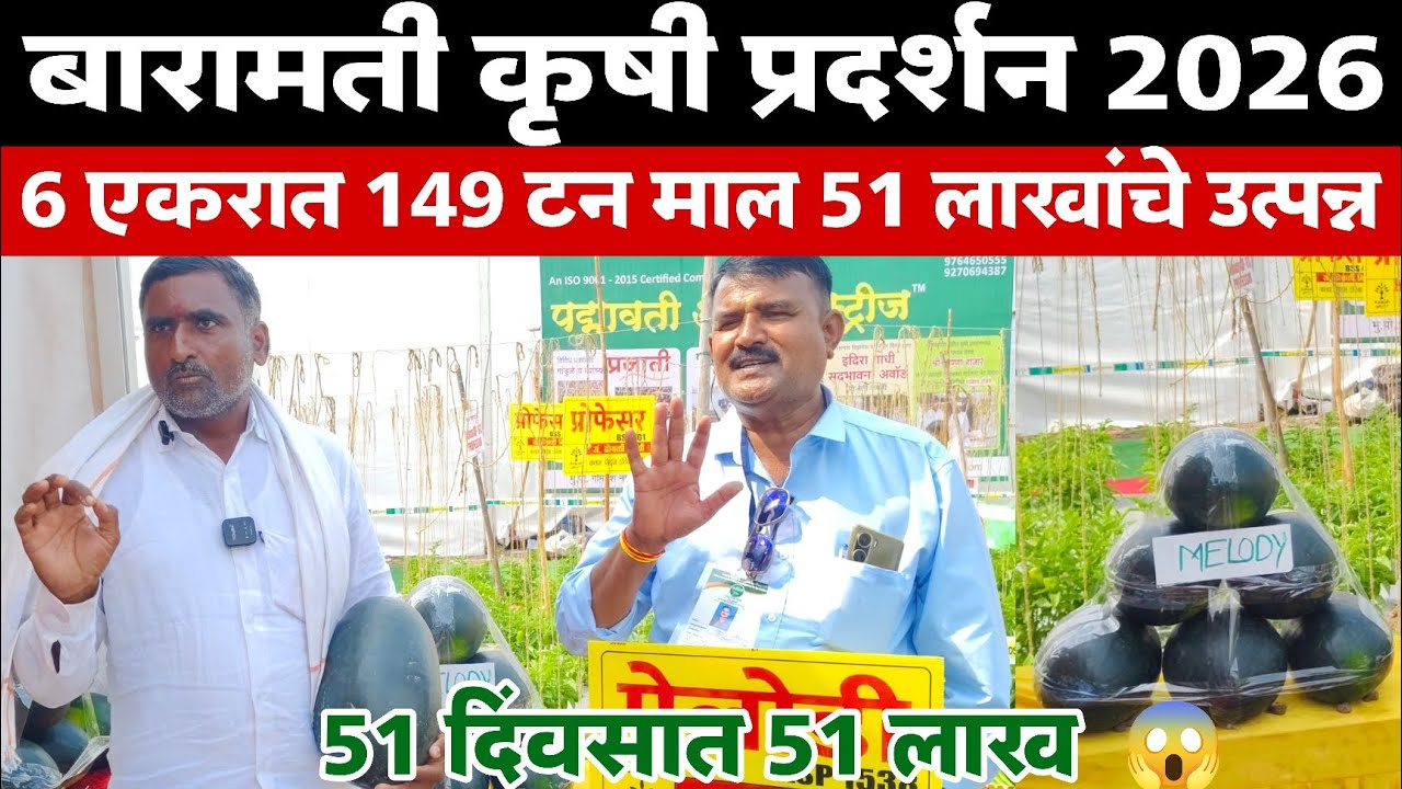 🌾बारामती कृषी प्रदर्शन 2026 | एकरात 149 टन माल 51 लाखांचे उत्पन्न | 51 दिवसांत 51 लाख 😱 #KVK_2026 