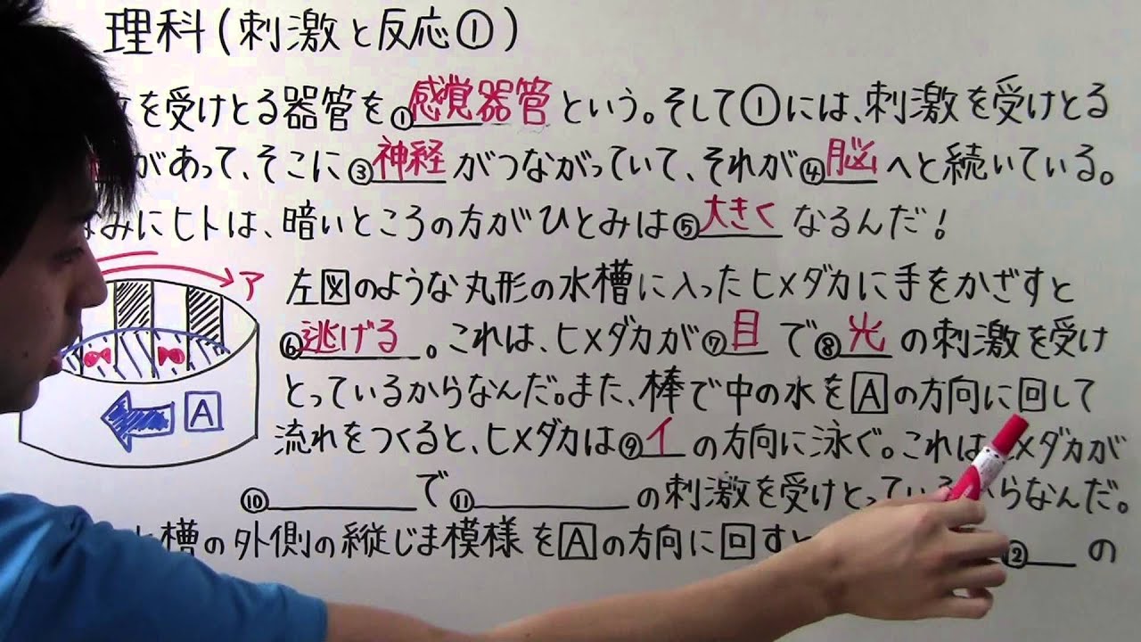 【理科】中2-25 刺激と反応①