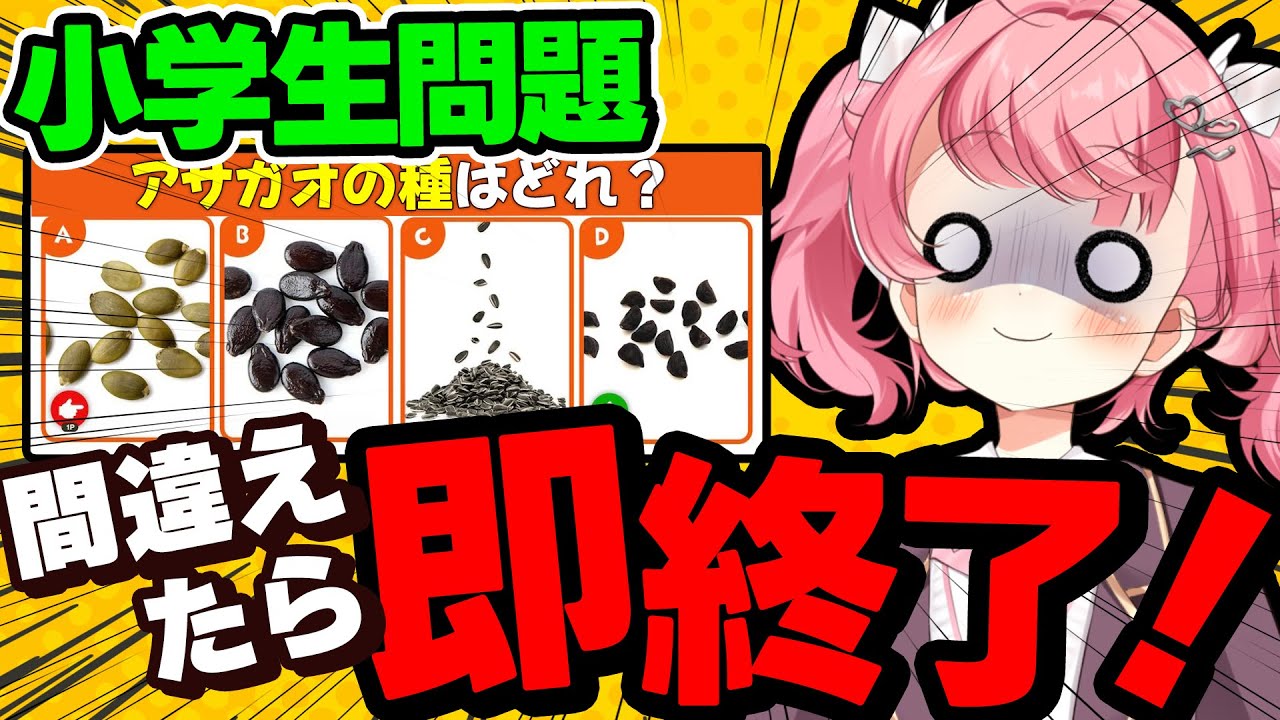 【ミス禁止】『小学生教科書クイズ』間違えたら即終了！？ #初見歓迎 【#vtuber /小鳥遊こばと】