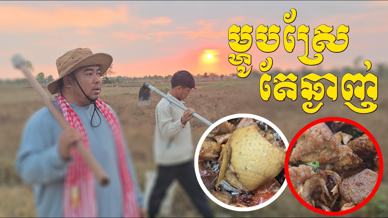 ដកខ្លួនពីព្រំដែនមួយរយៈមកធ្វើស្រែចំការម្ដង ក្តីសុខតិចសុខតិចៗ