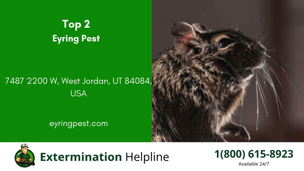 Top 3 Exterminators in West Jordan