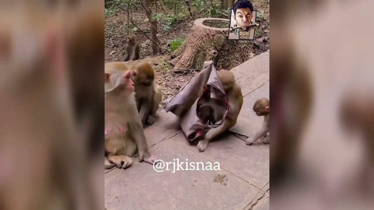 Rj Kisna Funny 🤣 Dub  | Saste Nasha| Dub Kender #comedy #comedy #viral #trend #compilation #meme