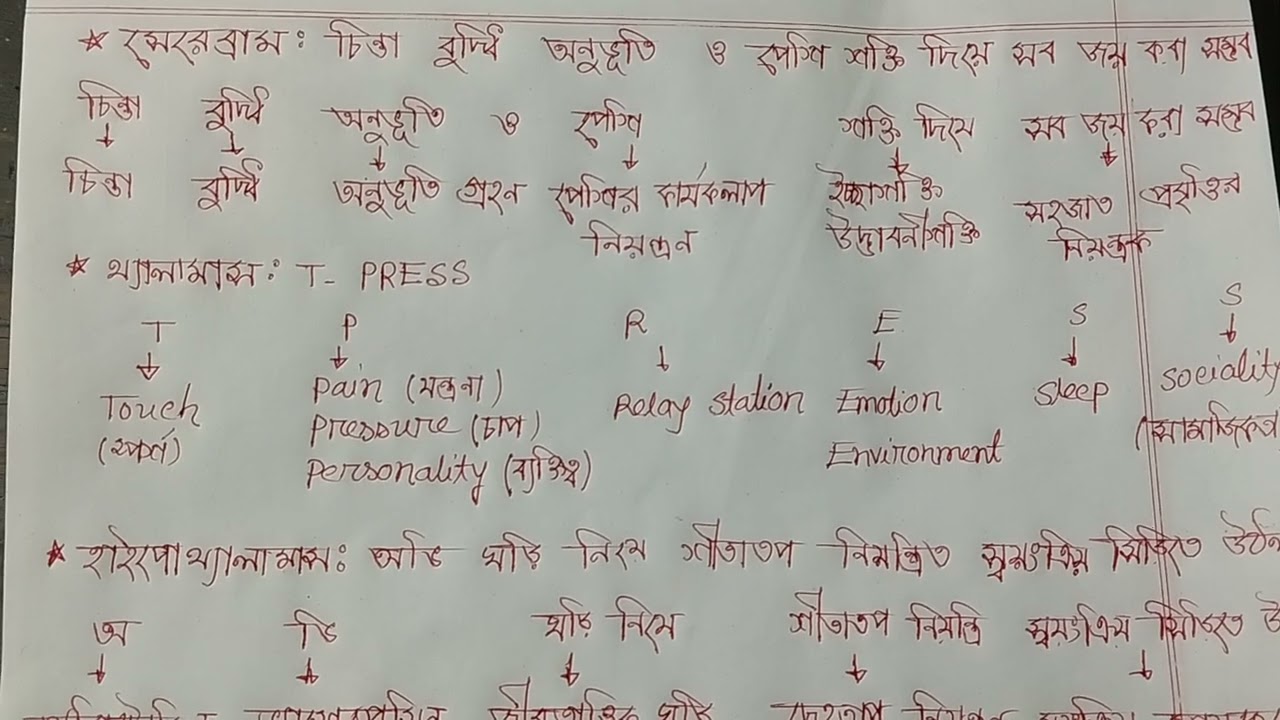সেরেব্রাল, থ্যালামাস, হাইপোথ্যালামাস এর কাজ (Cerebrum, Thalamus, Hypothalamus function) #Unmesh