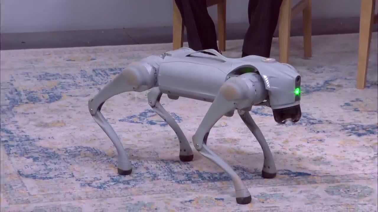 Randolph College to Host Science Festival, in Celebration of All Things Science