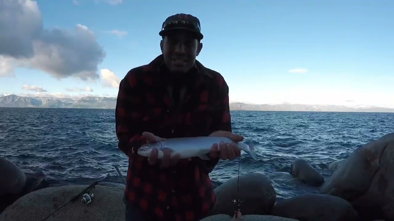 Grabbing Dinner Fishing Lake Tahoe from Shore (NV)