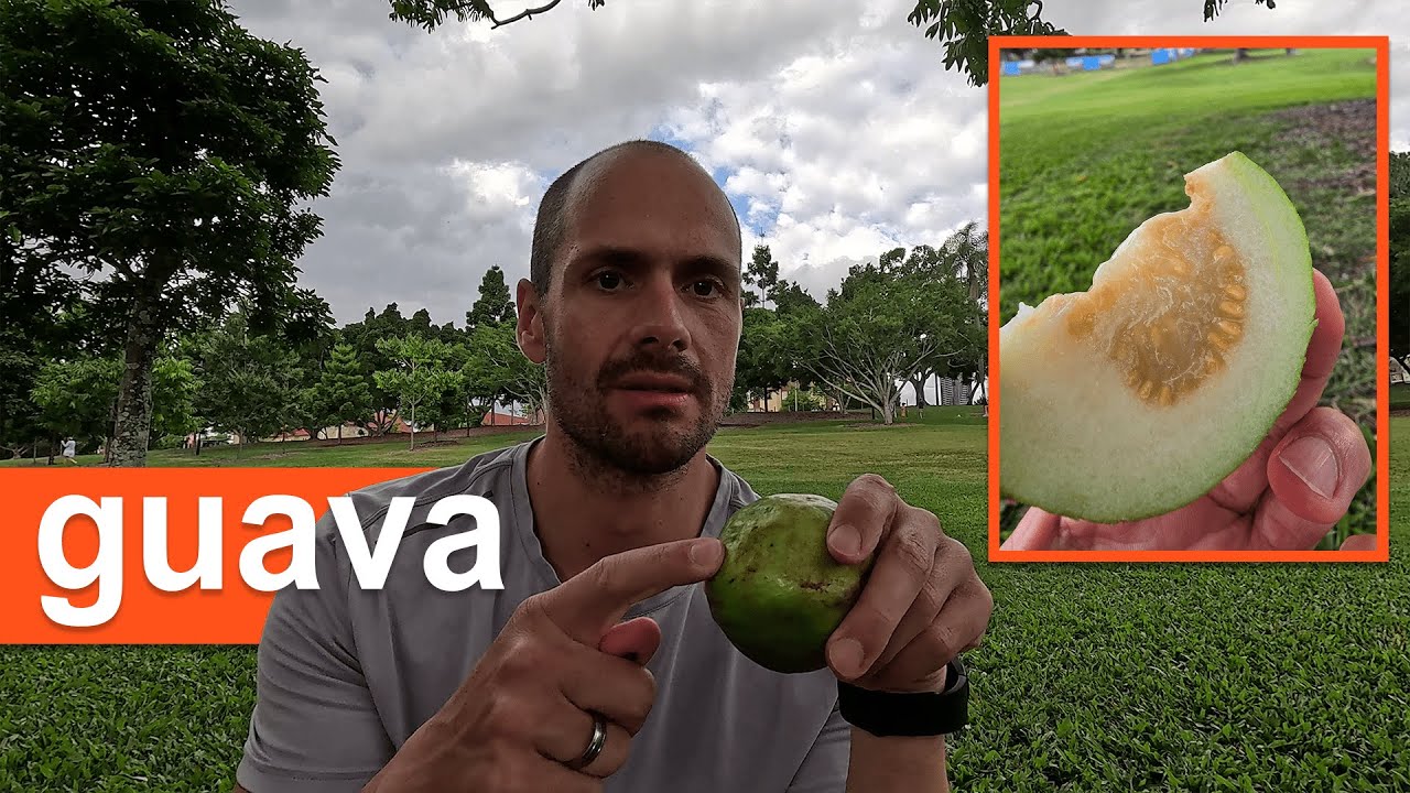 Különlegességek: guava