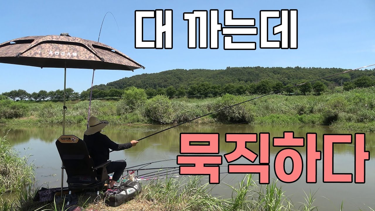 대 까는데 벌써 묵직하다 붕어낚시
