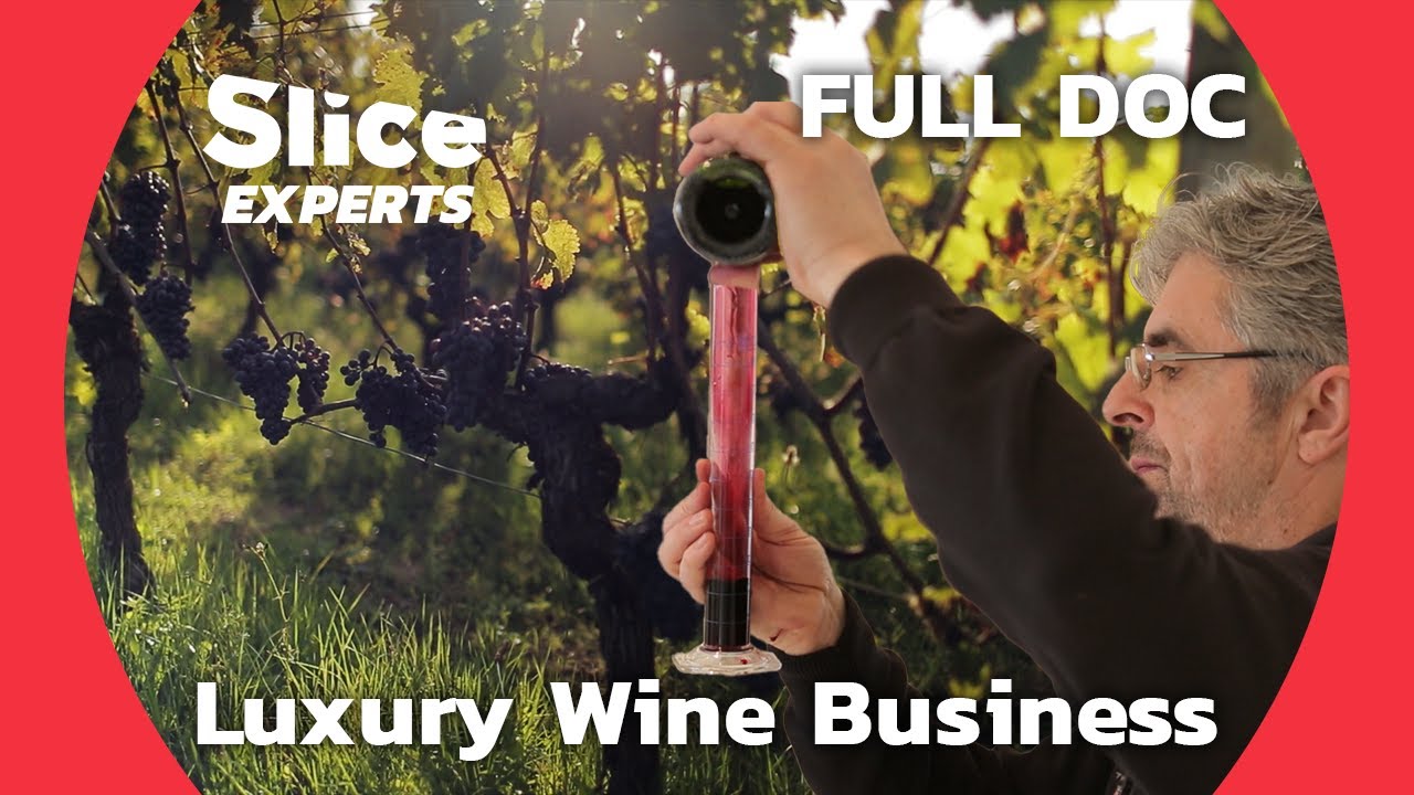 A Journey into the Secret World of the Wine Tycoons | SLICE EXPERTS | FULL DOC