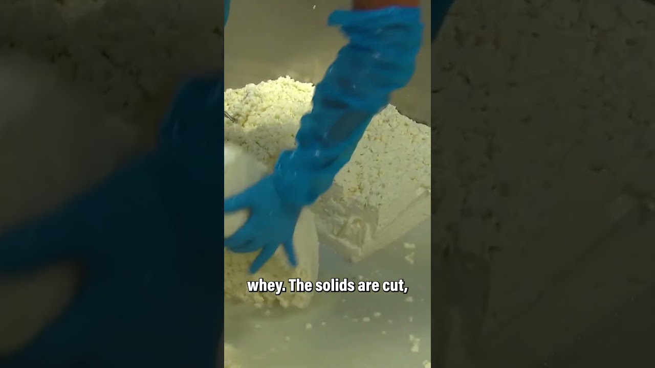 The Fascinating Process of Making Cheese #shorts