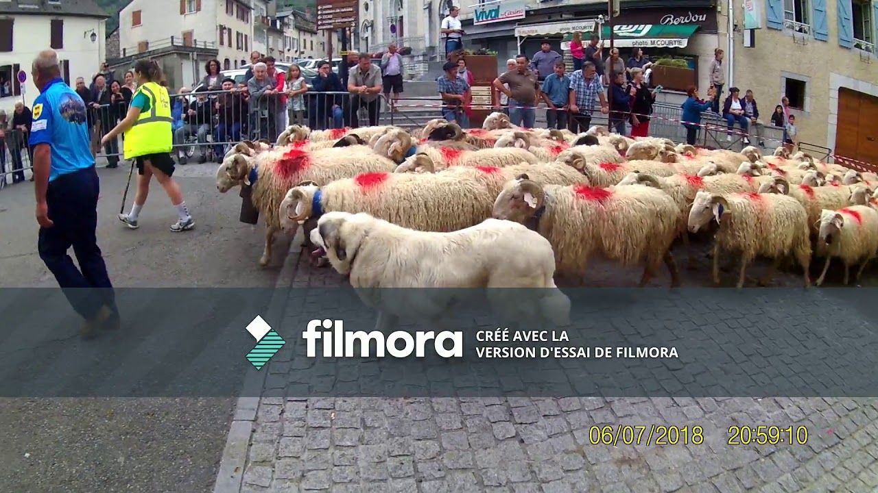 Transhumance Ossau 2018 Traversée de Laruns