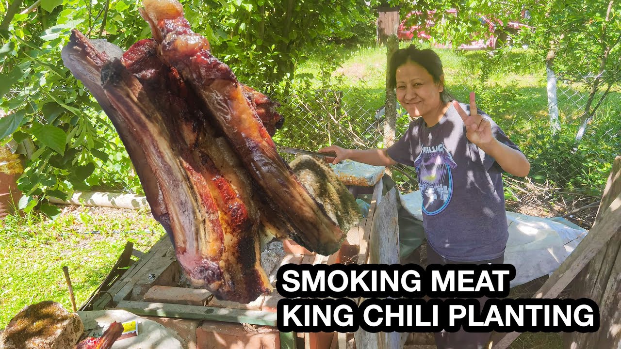 NAGA KING CHILI PLANTING/GHOST PEPPER/SMOKING MEAT AND FISH/TANGKHUL VLOG