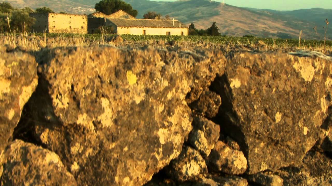 Planeta Winery in Sicily