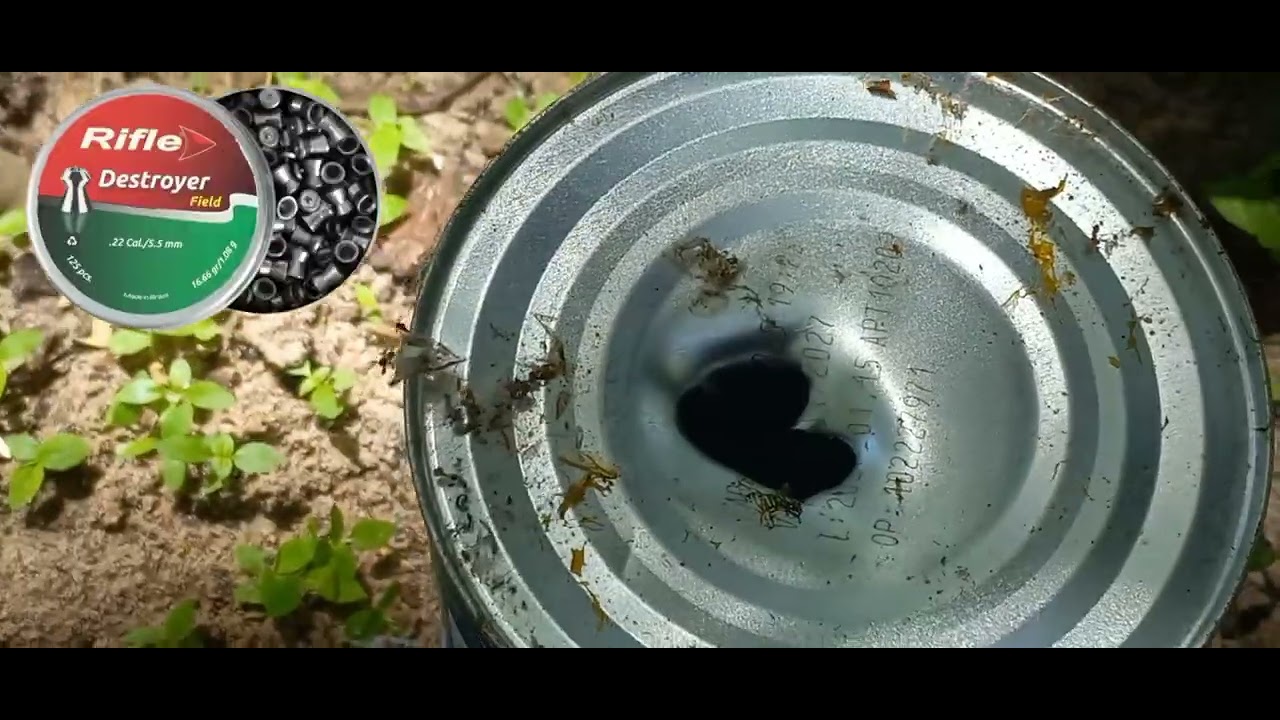 Teste de agrupamento 