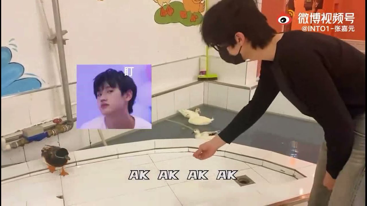 [Cut] Nguyên gọi Vịt và màn đáp trả của Vịt AK Lưu Chương =)) -《张嘉元 & 刘彰 811》