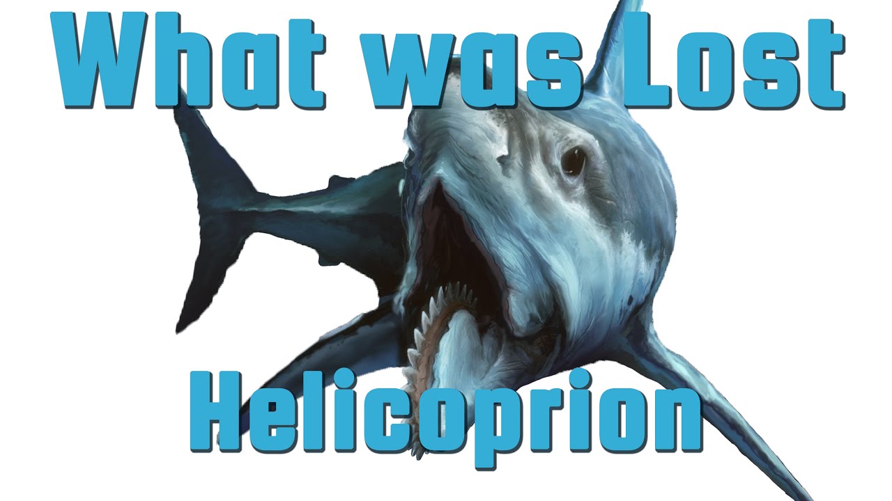 Helicoprion - The Buzzsaw Shark - What Was Lost Ep.19