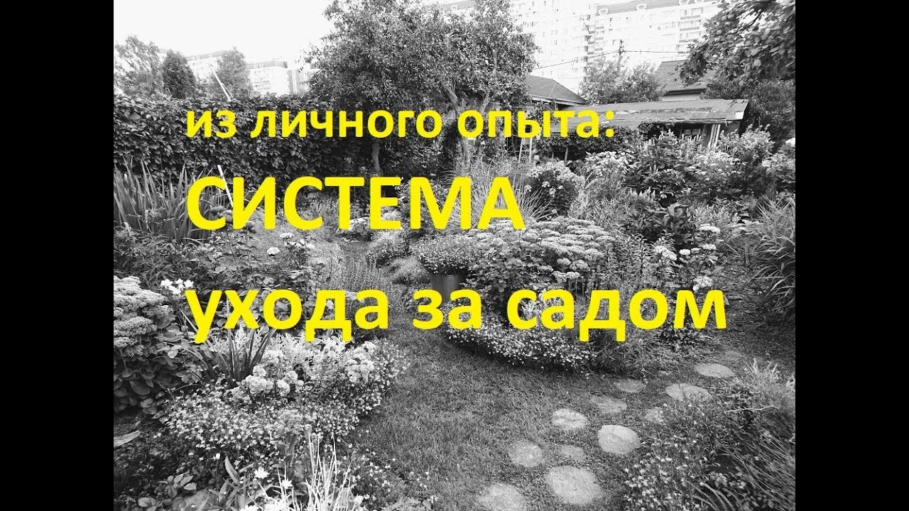 Садовый влог 12.08.19  Моя система УХОДА ЗА САДОМ Удобрения Рассуждения