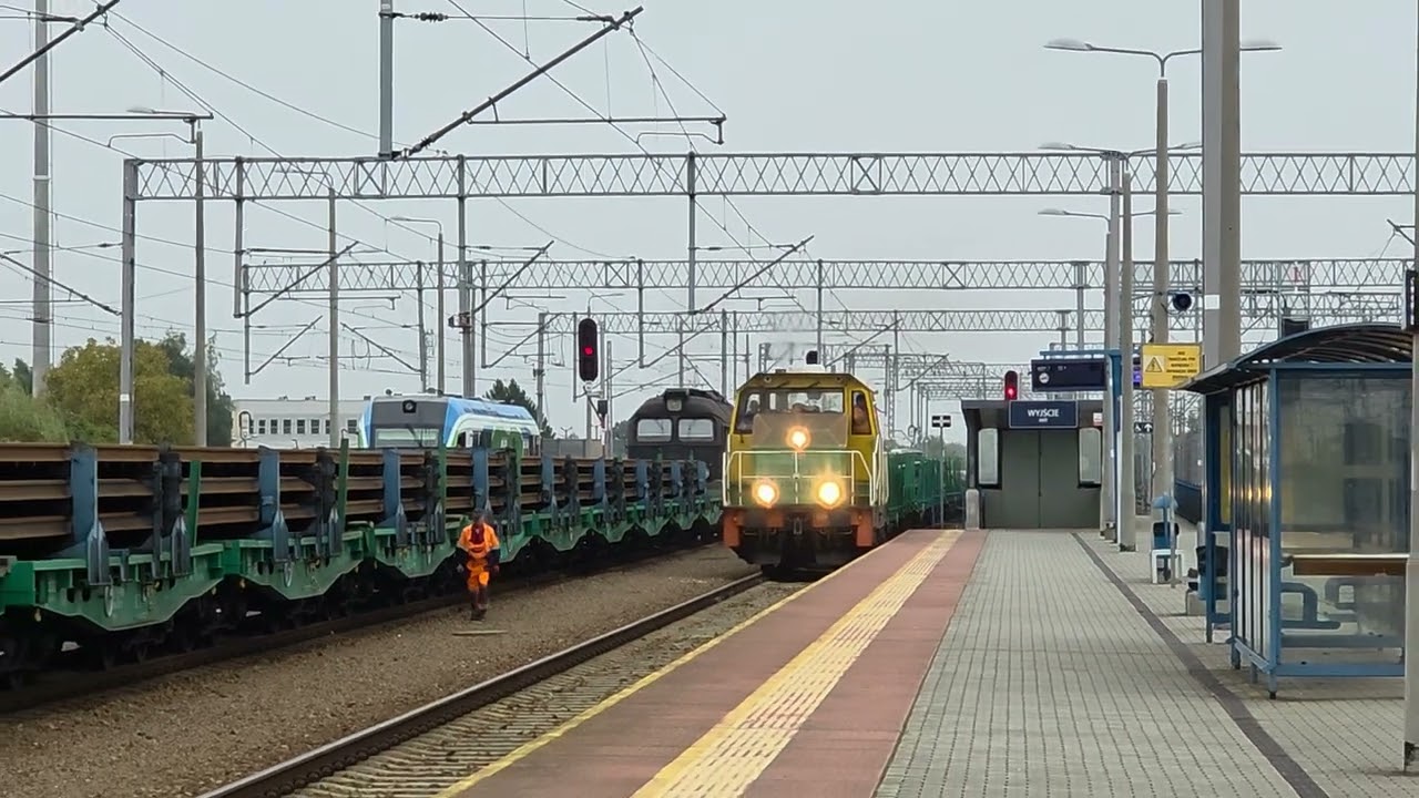 6Dh-1-015 + RP1