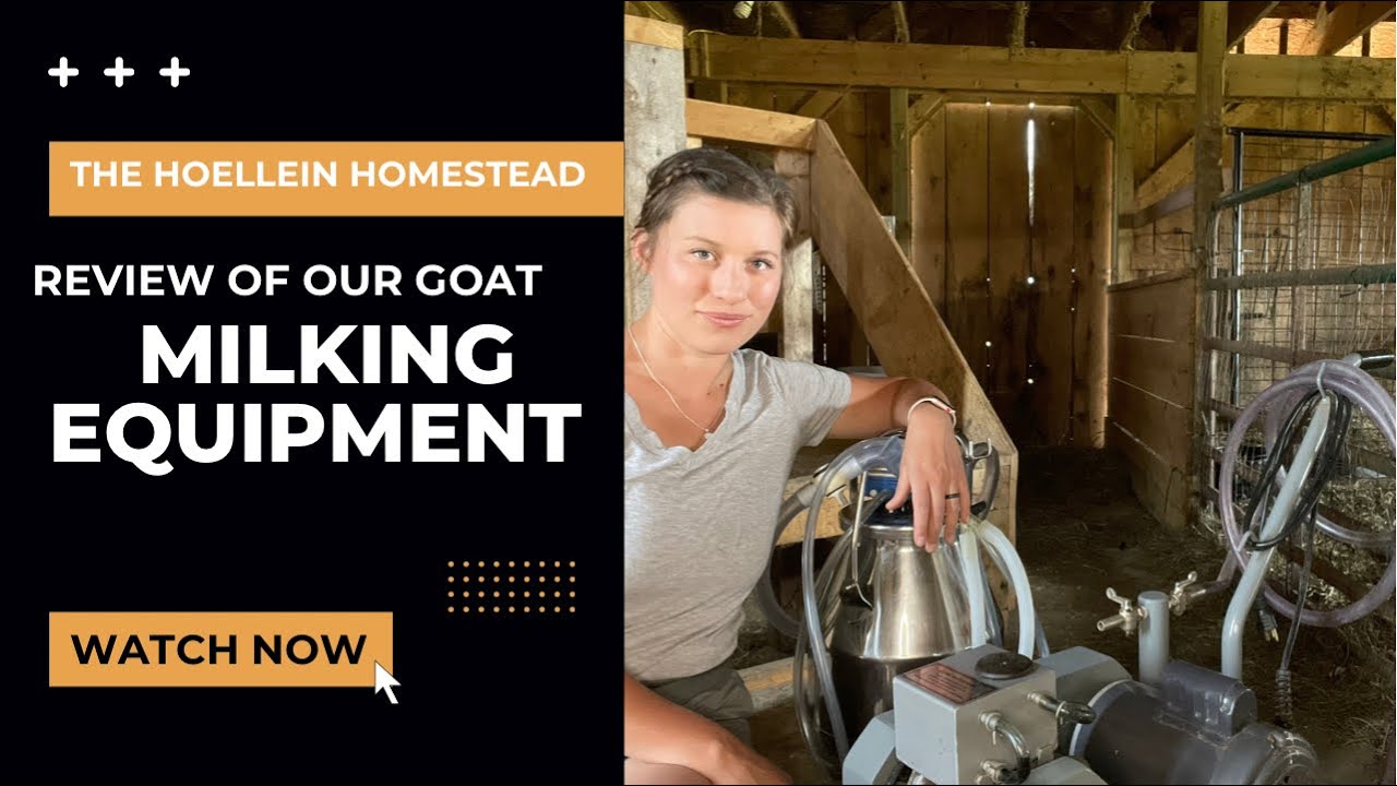 Goat Milking Machine Review