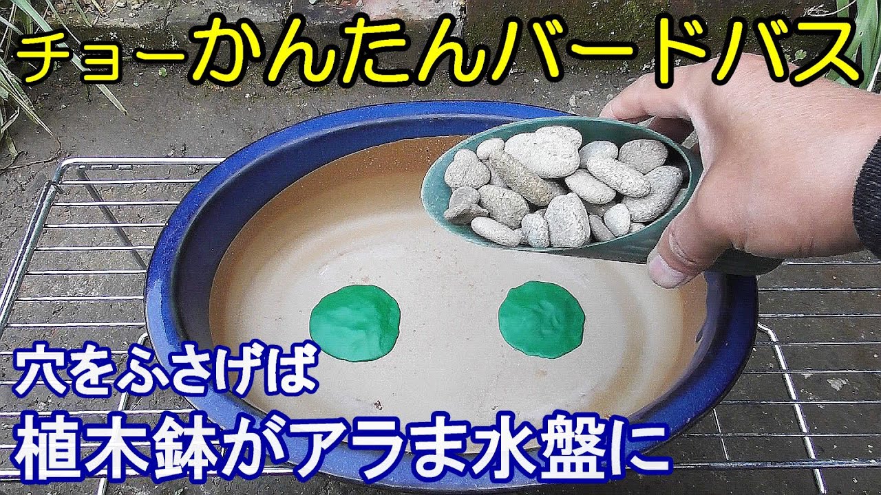 植木鉢でバードバス（野鳥の水浴び場）製作編：パテで鉢底穴をふさぐだけ～ヒヨドリ/メジロ/スズメ