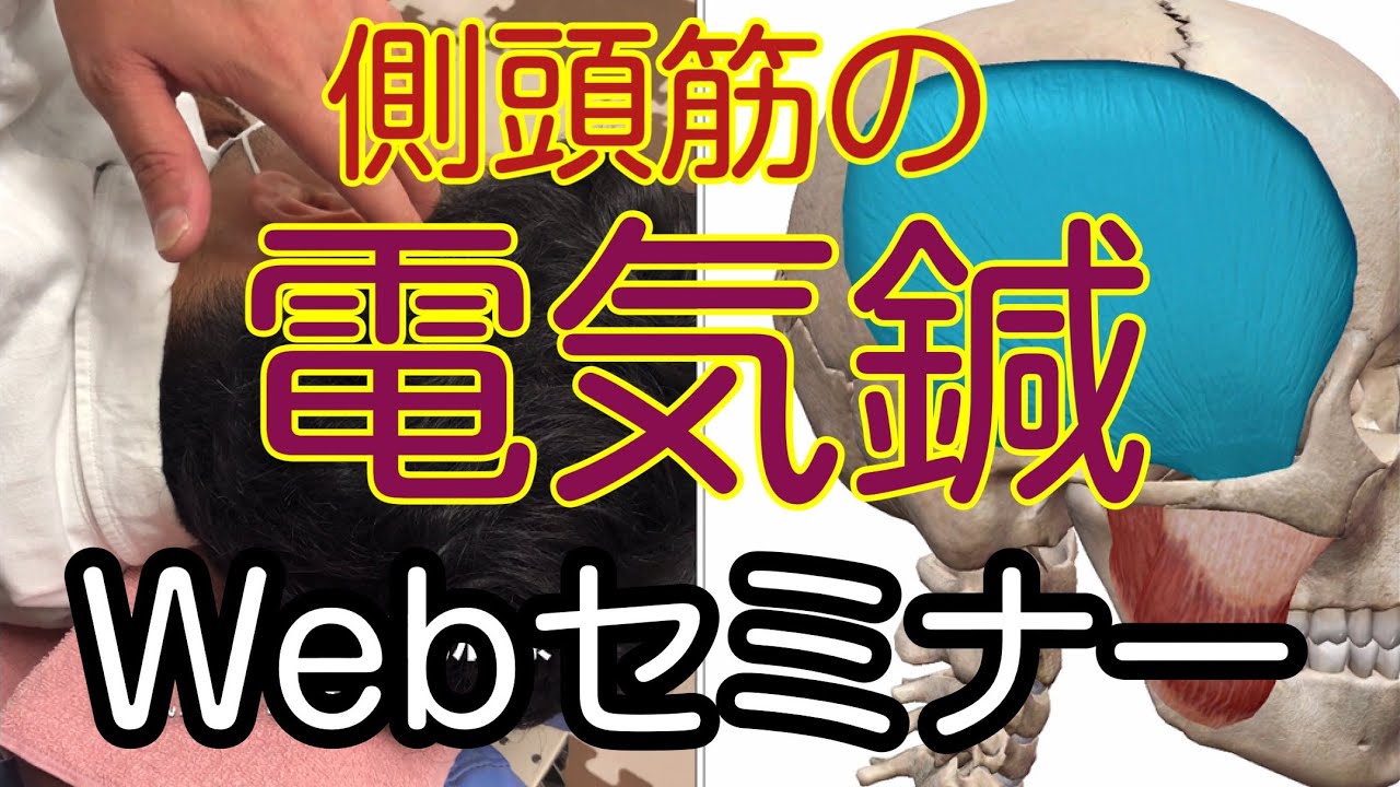 側頭筋の電気鍼治療Webセミナー