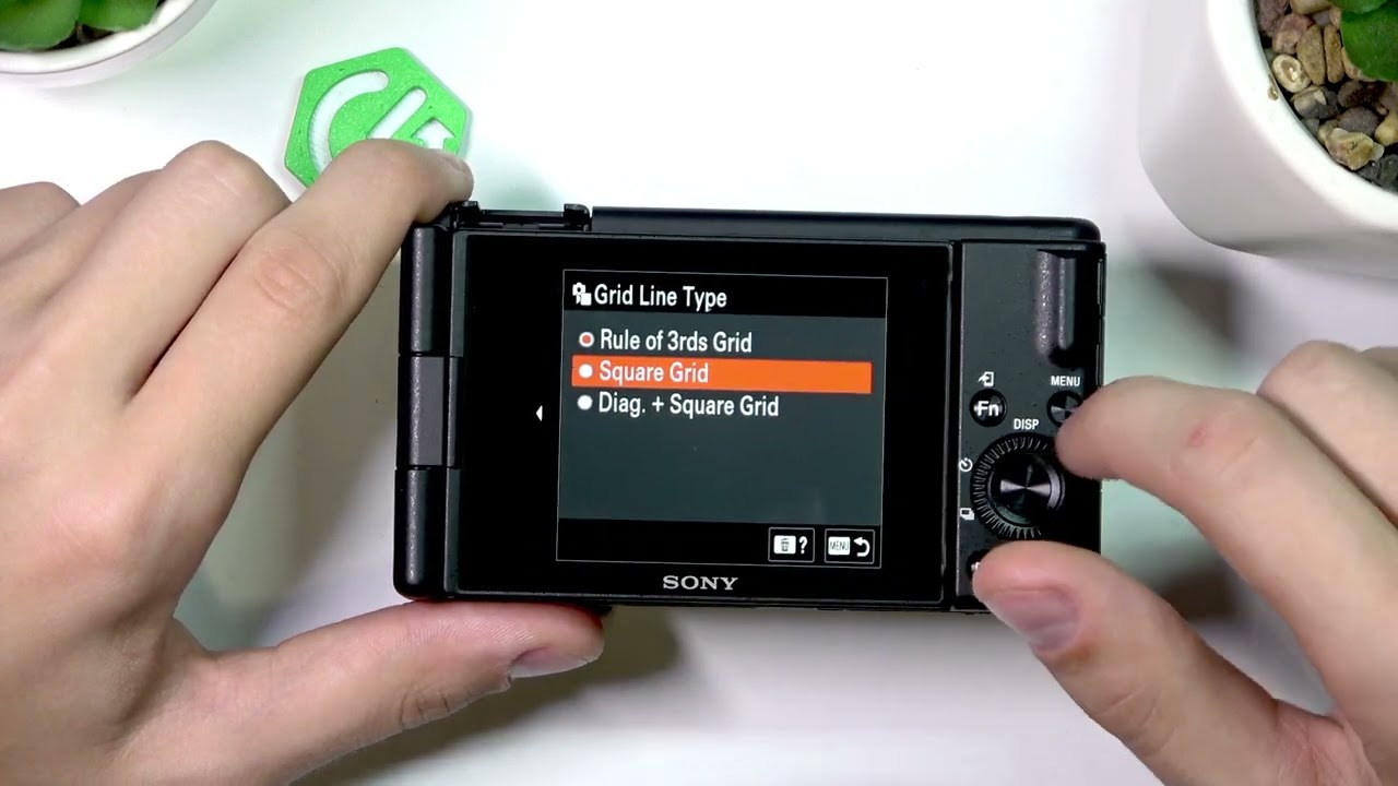 SONY ZV-1F &ndash; How to Change Grid Line Type