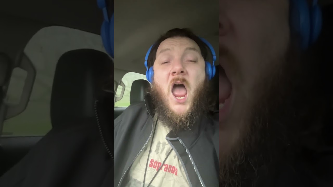 Silent Planet - Northern Fires (Guernica) Vocal Cover 