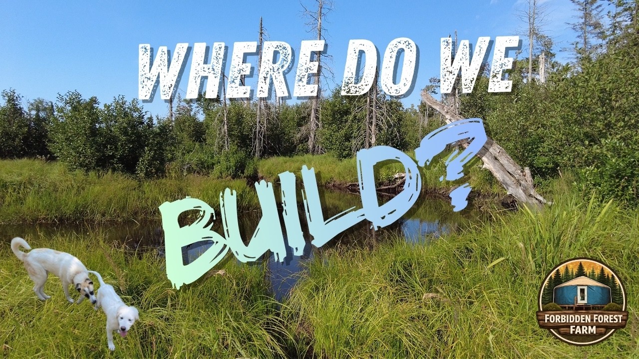 CHOOSING THE BUILD SITE       #offgridhome  #offgrid  #nature