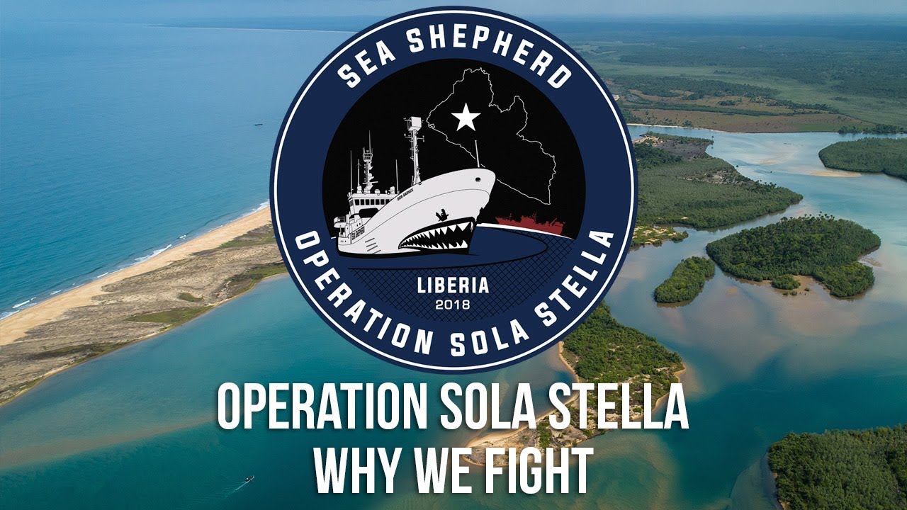 Operation Sola Stella: Why We Fight