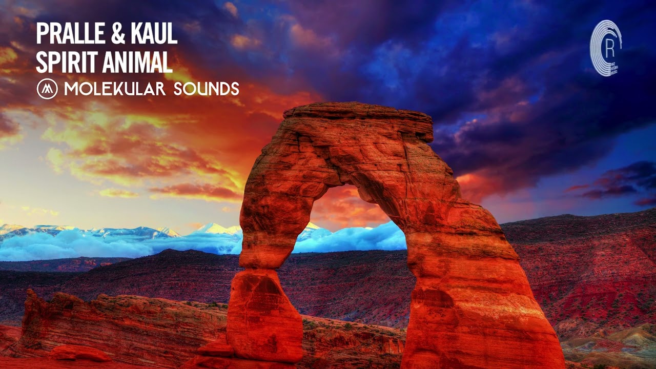 UPLIFTING TRANCE: Pralle & Kaul - Spirit Animal [Molekular Sounds]