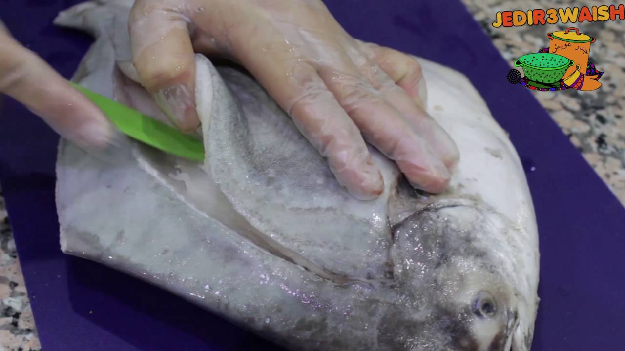 طريقة تنظيف السمك ( زبيدي ) ( تعليق فكاهي مشاركة من بوجسوم )