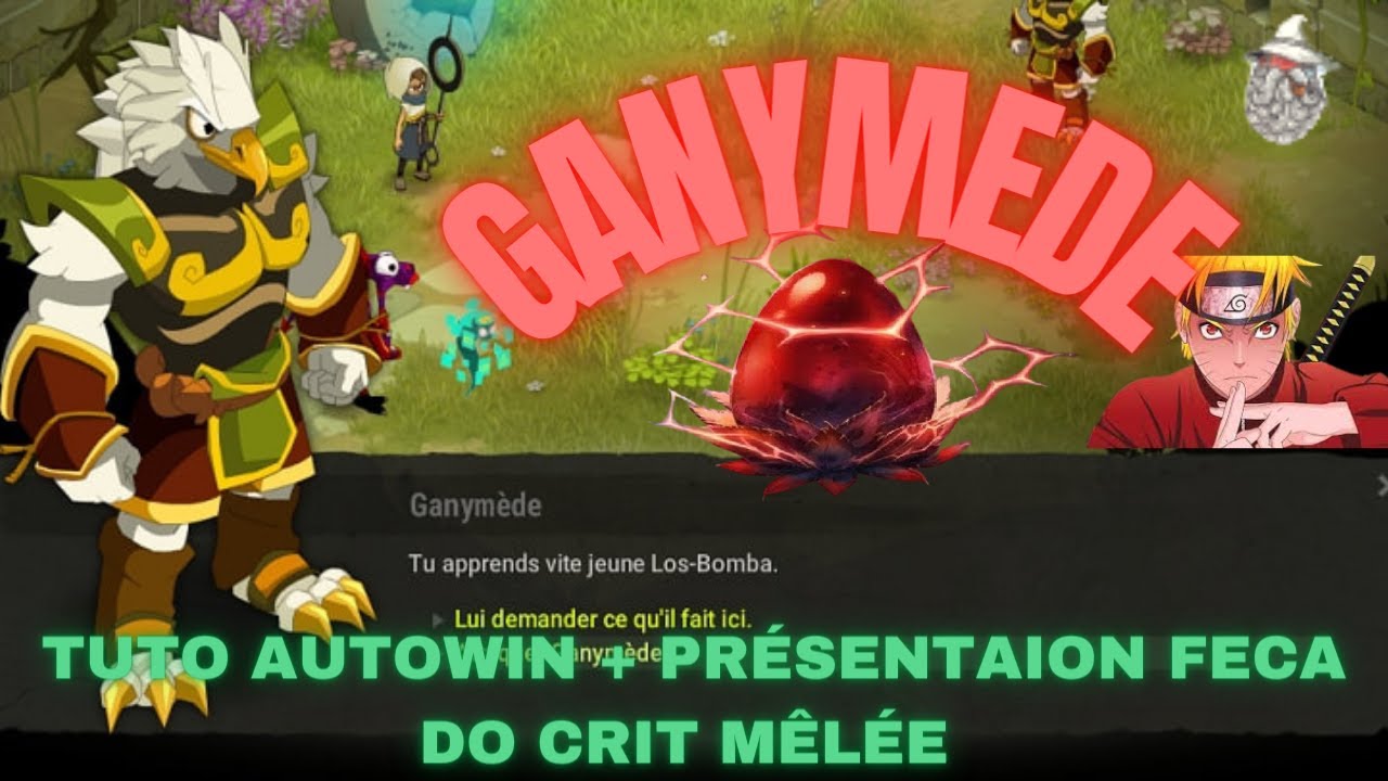 Ganymède  prérequis du dofus vulbis !!!TUTO AUTOWIN!!!!