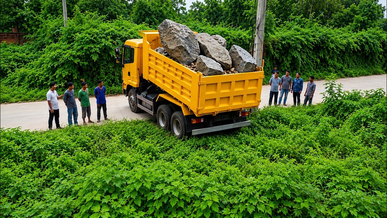 First Starting New PROJECT! Skill Earthmoving Bulldozer D20 With Dump Truck Pouring Soil Clear Plant