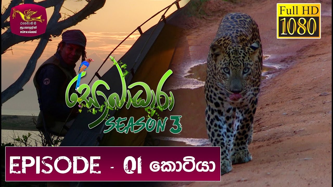 Sobadhara - Sri Lanka Wildlife Documentary | 2019-03-01 | Kotiya