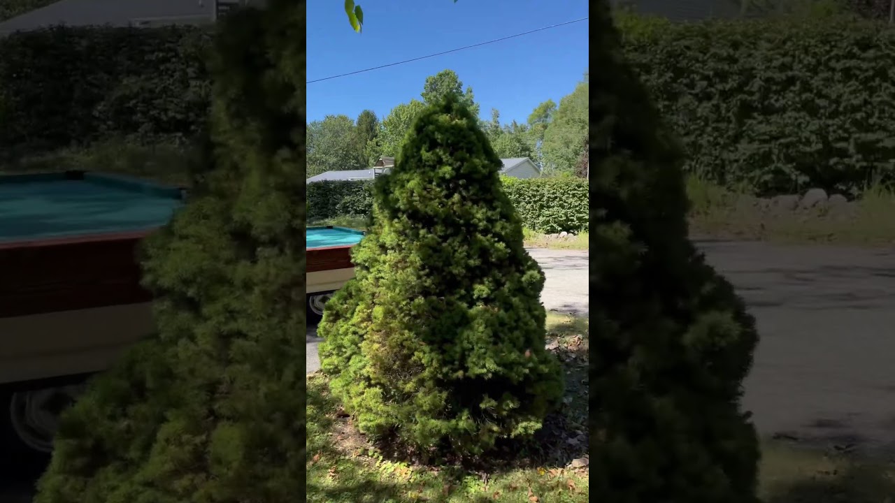 How To Move A Pool Table     