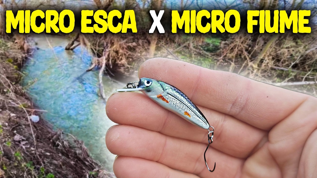 Costruisco una MICRO ESCA per pescare TROTE in un torrente minuscolo