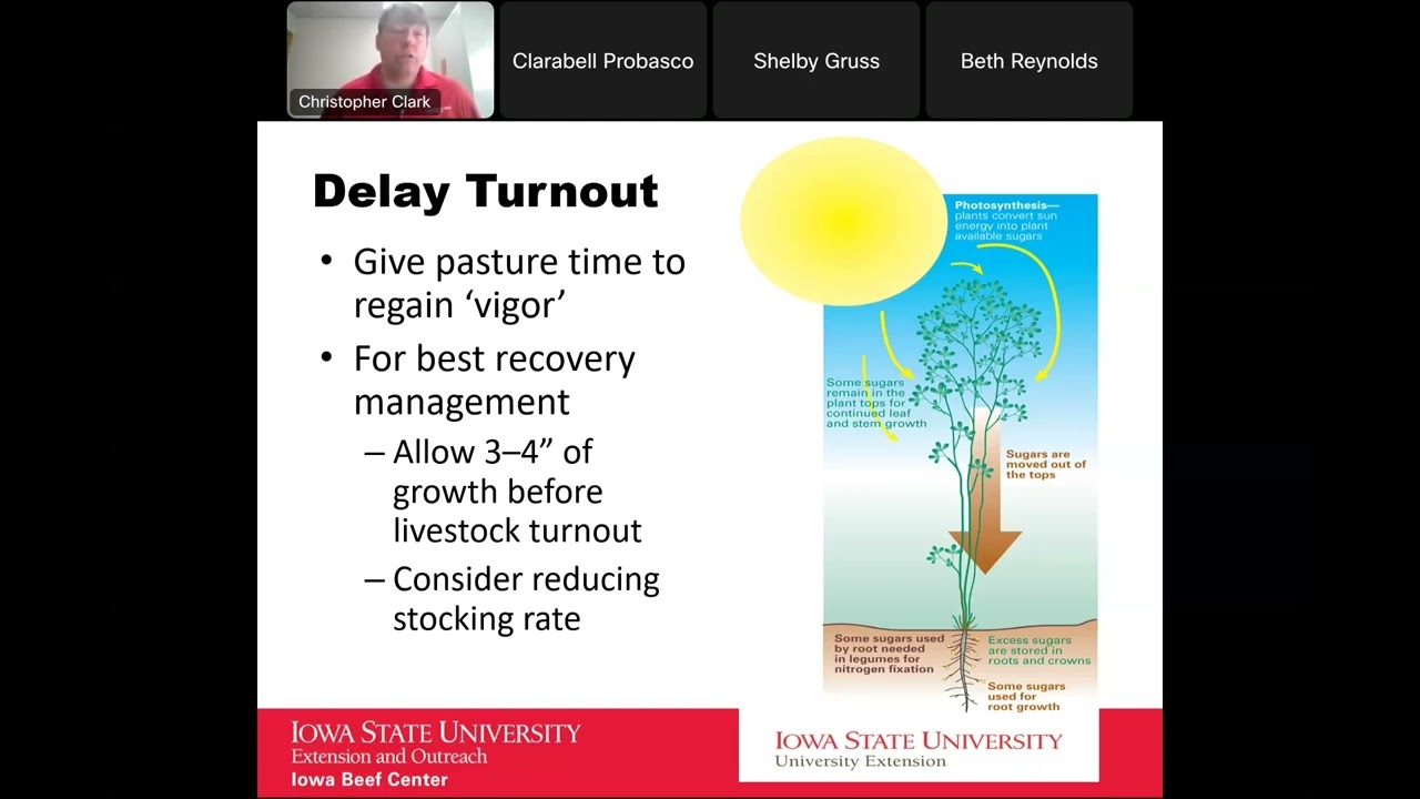 Pasture Preparation and Renovation 2024