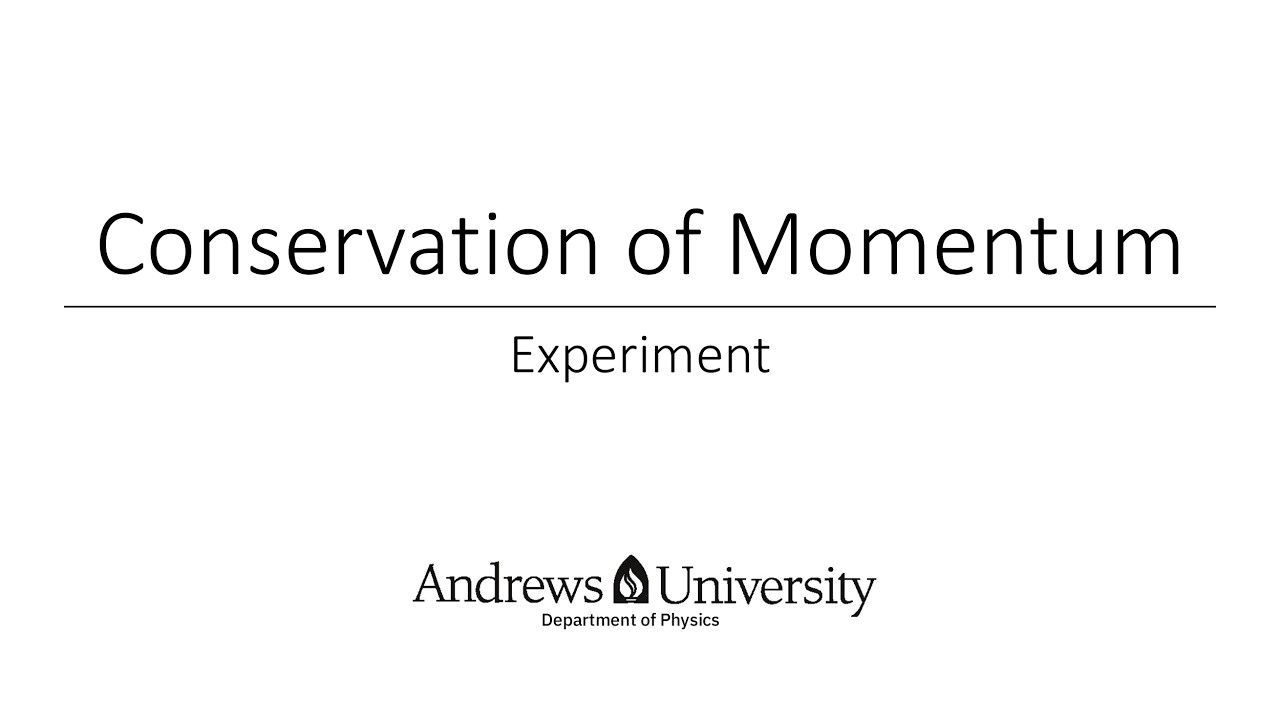Physics Semester 1 Lab 6 (Conservation of Momentum)