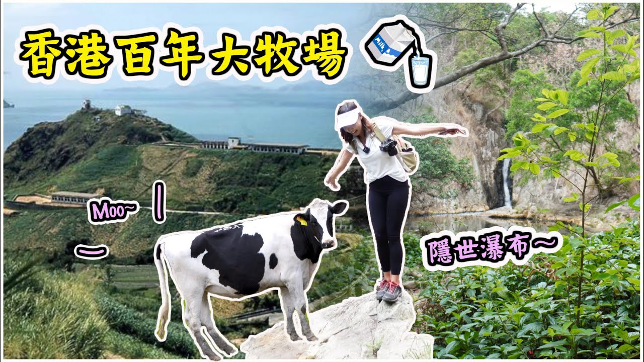 【探廢！】薄扶林曾有1500隻乳牛？用3萬蚊買起香港山頭｜世界級牛奶公司牧場 Dairy Farm