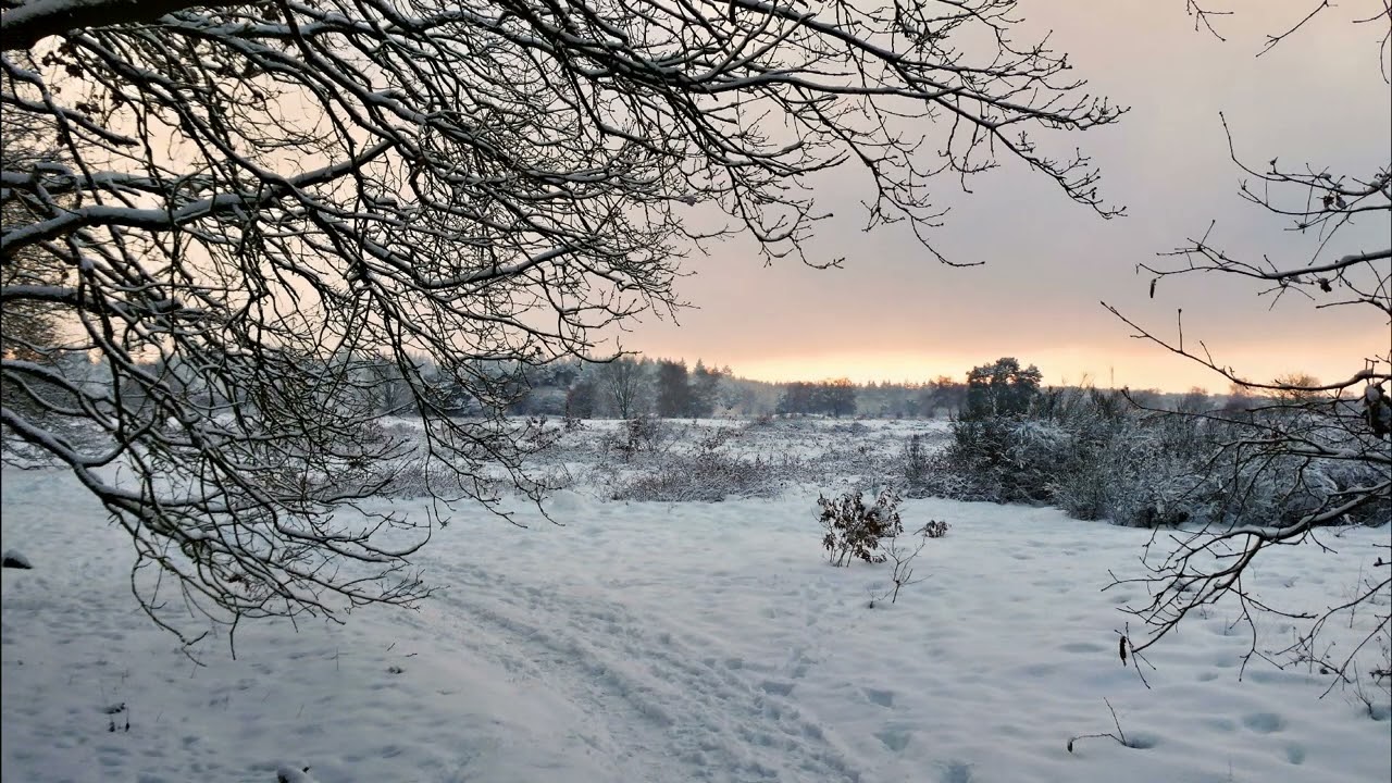 2026 0105ea Sneeuw Ermelo met muziek